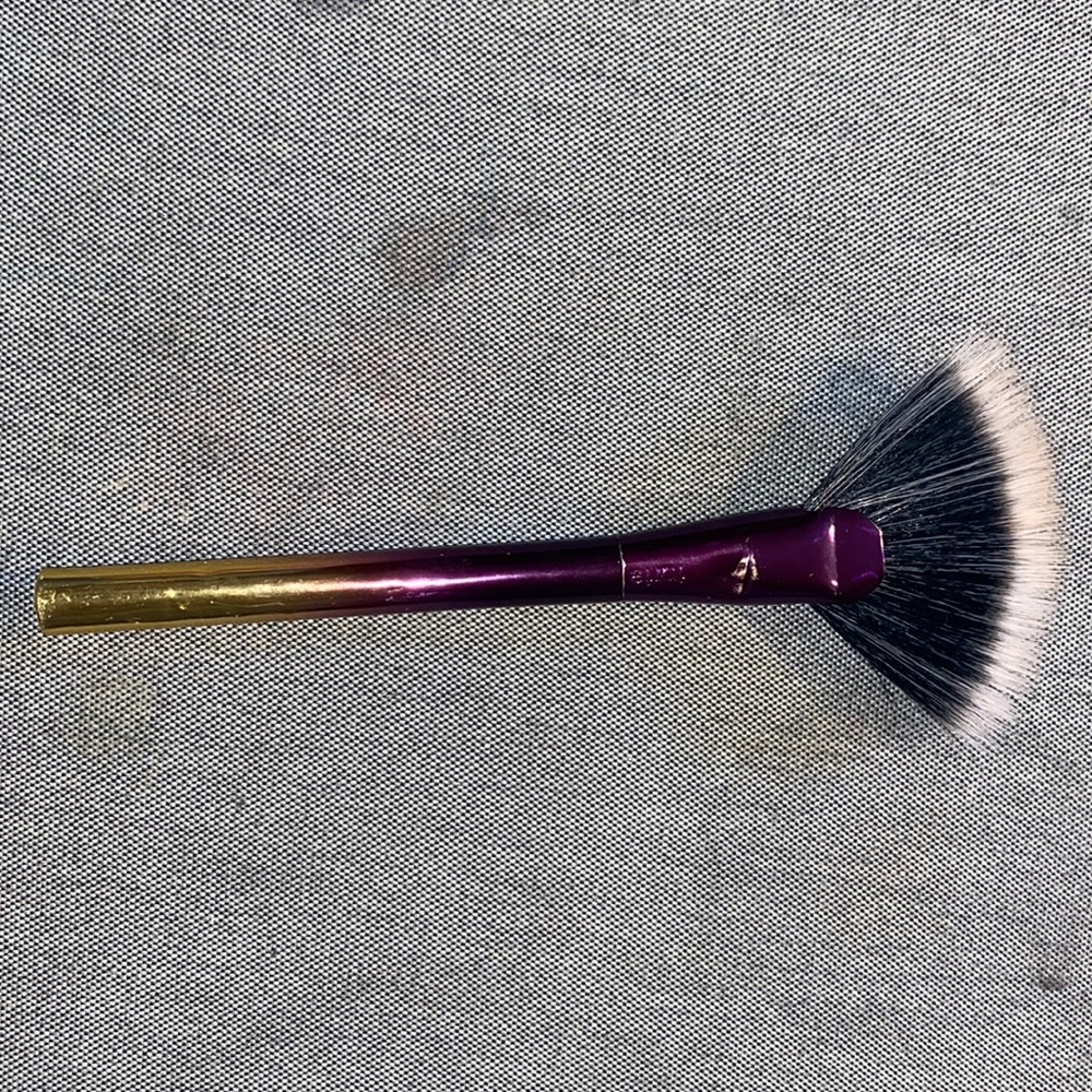 Taste fan brush